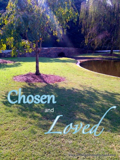 chosen and loved - sun tree pond