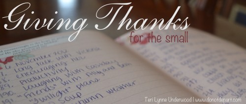 Giving Thanks for the small by Teri Lynne Underwood www.donotdepart.com