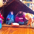 Nativity, Christmas activities
