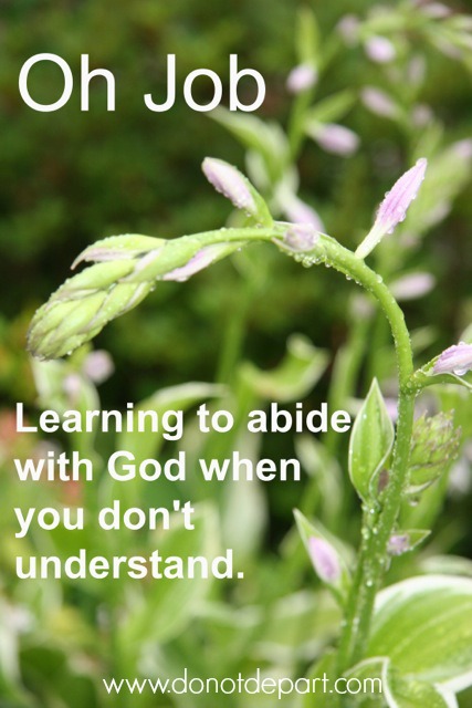 Oh, Job - Learning to Abide With God When You Don't Understand {donotdepart.com}