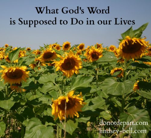 What God's Word is Supposed to Do In Our Lives