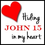 Hiding-John-15-in-my-heart_DoNotDepart