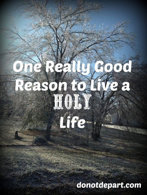 One Really Good Reason to Live a Holy Life