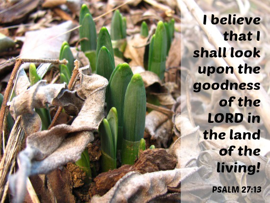 Psalm-27-13