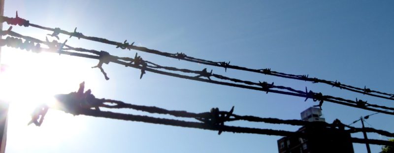 barbed-wire-by-alvimann