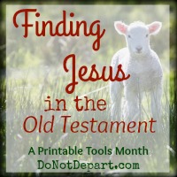 Finding Jesus in the Old Testament. With printables resources for you... at DoNotDepart.com