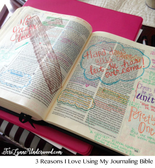 Journaling-Bible-Teri-Lynne-Underwood