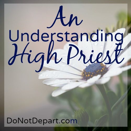 Jesus As High Priest... An Understanding High Priest... Read more and study Hebrews 5 at DoNotDepart.com
