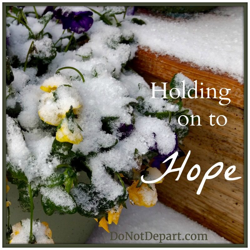 Holding on to Hope - DoNotDepart.com
