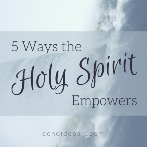 The Bear - Empowering the Spirit