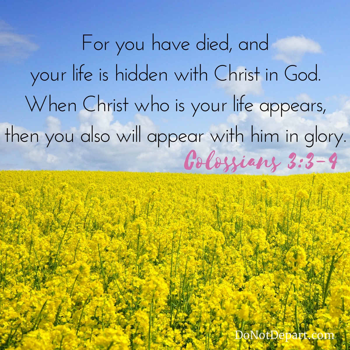 Back to Life {Memorizing Colossians 3:3-4} - Do Not Depart