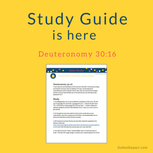Study Guide for Deuteronomy 30_16-DND