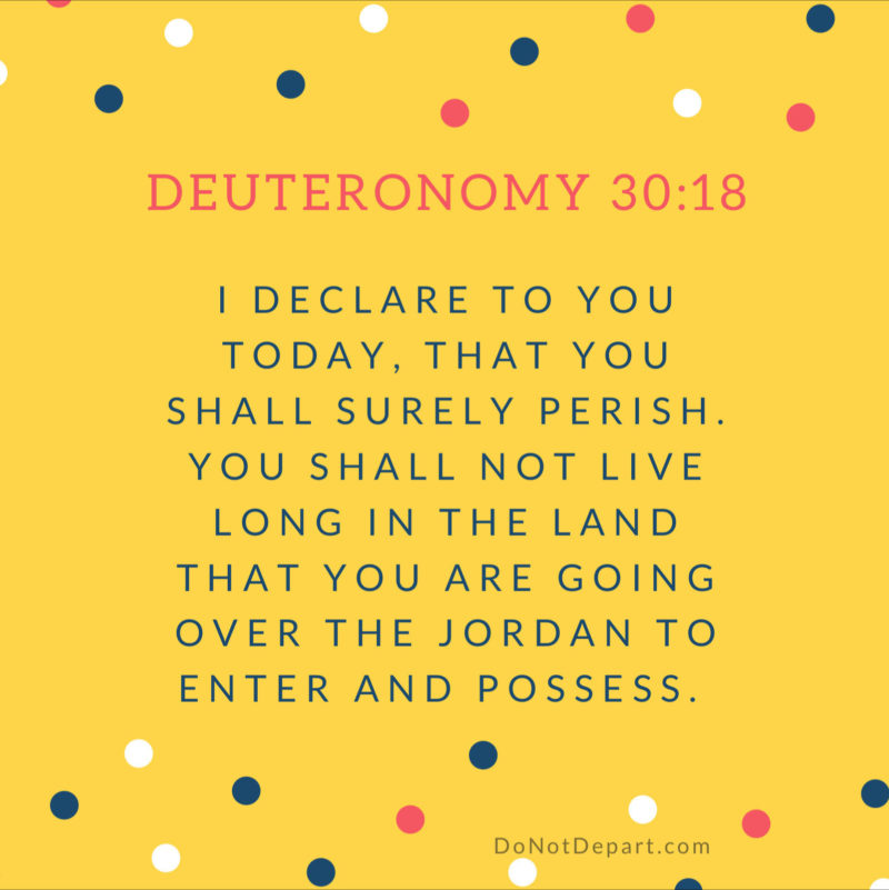 Deuteronomy-30-18