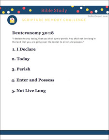 Study-Guide-Deuteronomy-30-18-thumbnail
