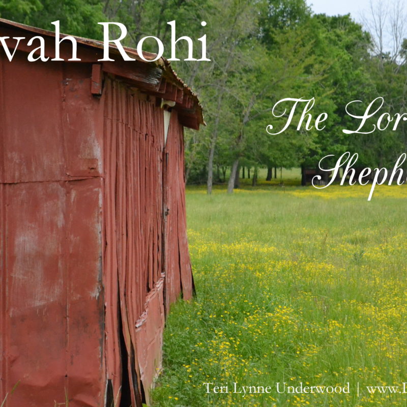 Names of God: Jehovah Rohi