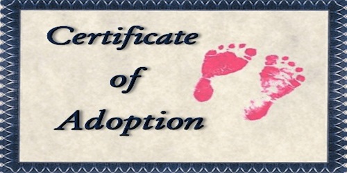 Adoption: It’s about the Father