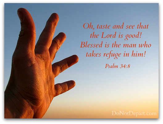 Blessed is the Man Who Takes Refuge in Him – Psalm 34:8
