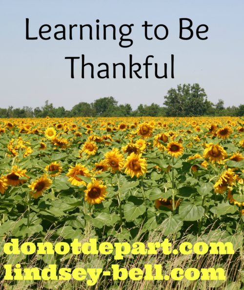 Learning to Be Thankful {a guest post from Lindsey Bell on DoNotDepart.com}