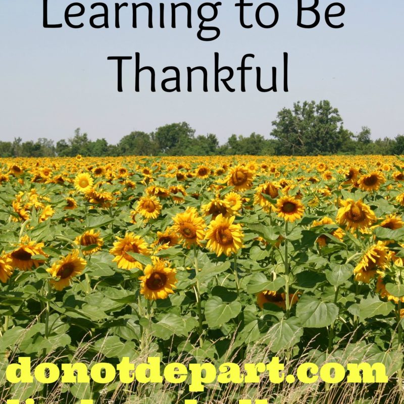 Learning to Be Thankful {guest post month}