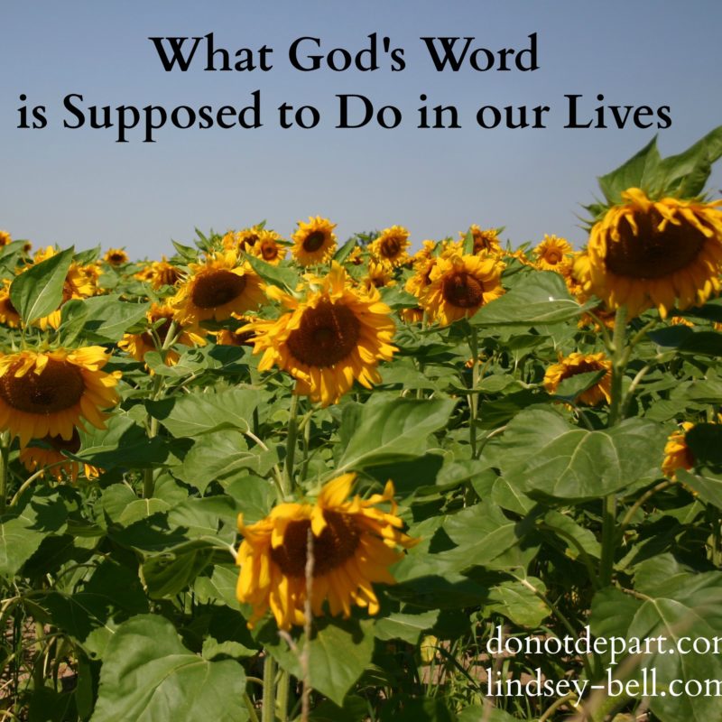 What God’s Word Is Supposed to Do