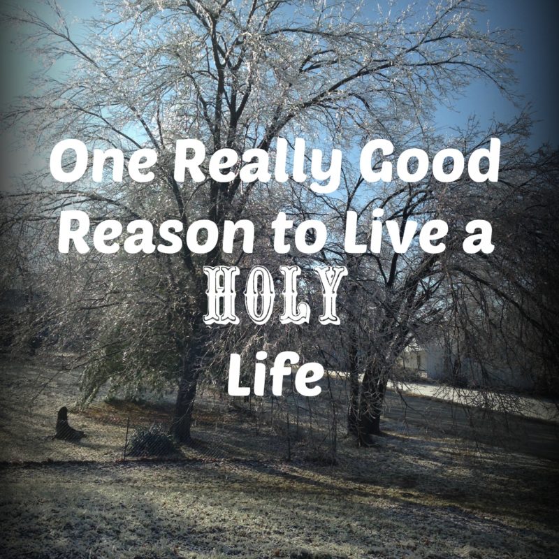One Really Good Reason to Live a Holy Life