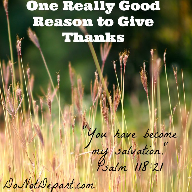 One Really Good Reason to Give Thanks
