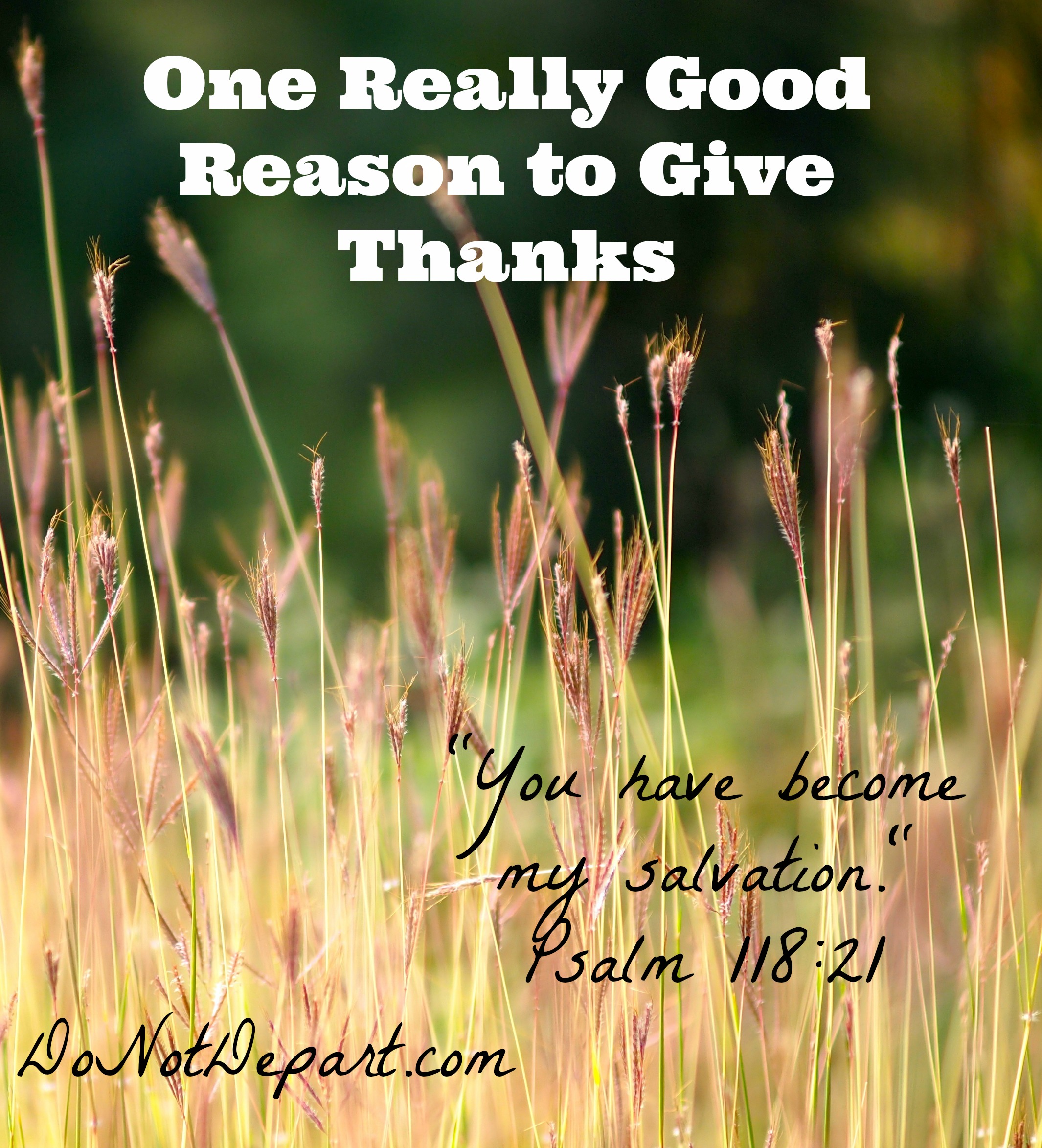 One Really Good Reason to Give Thanks - Do Not Depart
