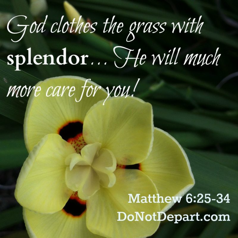 God Will Care for You – Matthew 6:30