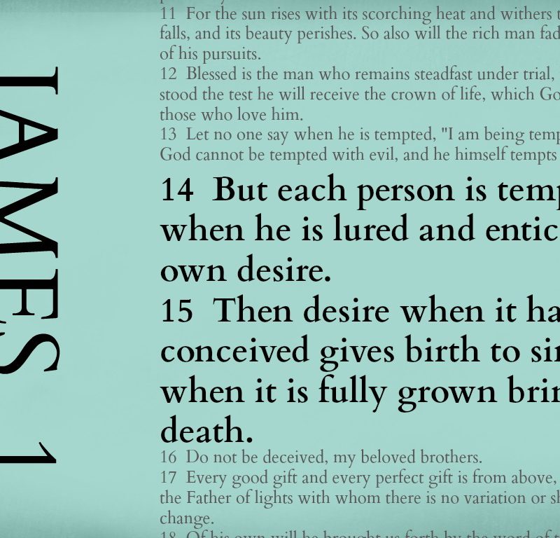 Birth life, not death – James 1:14-15 {Memory verse}