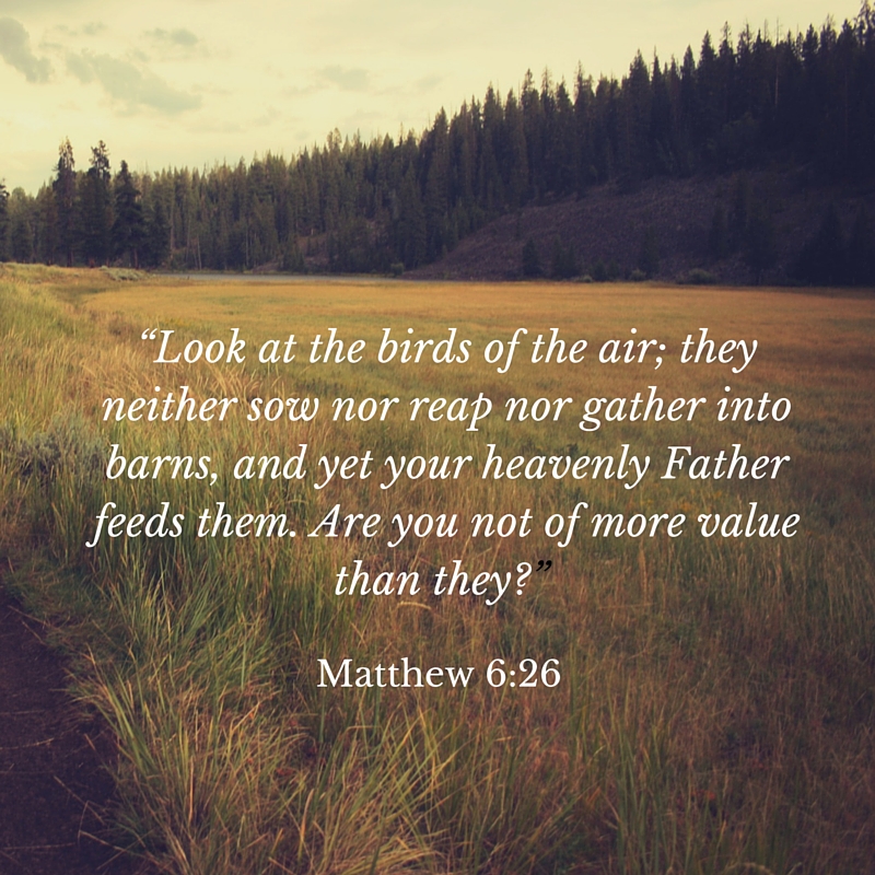 In Just 3 Days – Memorizing Matthew 6