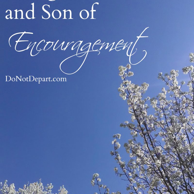 A High Priest and Son of Encouragement