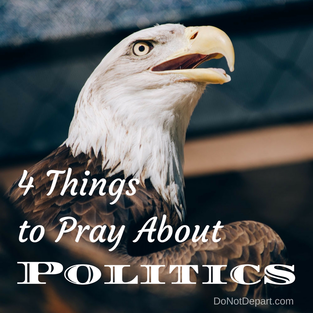 4 Things to Pray About Politics
