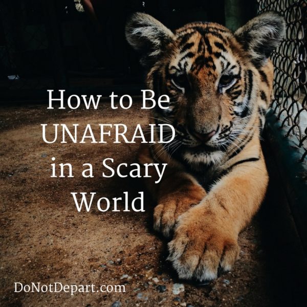 Unafraid How to Be Unafraid In a Scary World - Do Not Depart