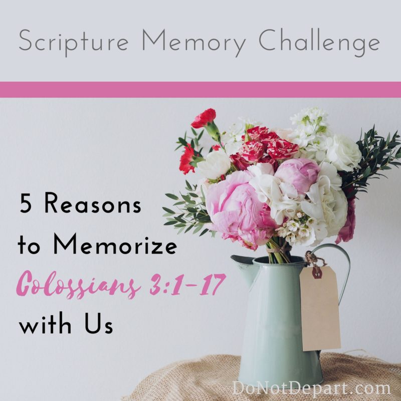 Why Memorize Colossians 3:1-17 with Us? 5 Reasons