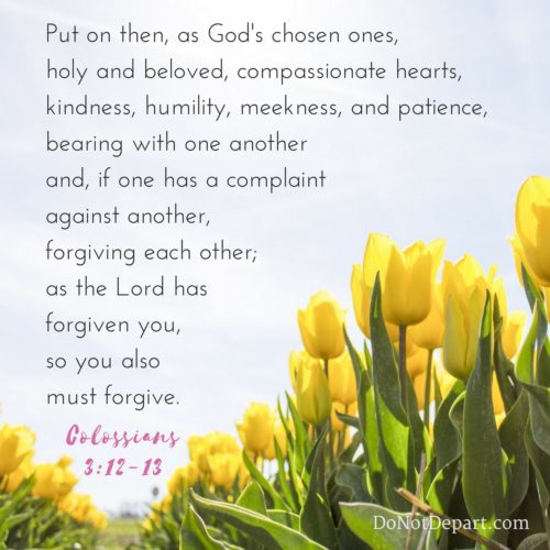 Colossians-3-12-13