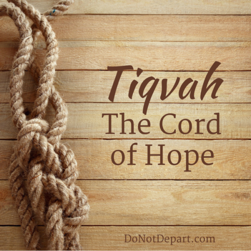 tiqvah-do-not-depart