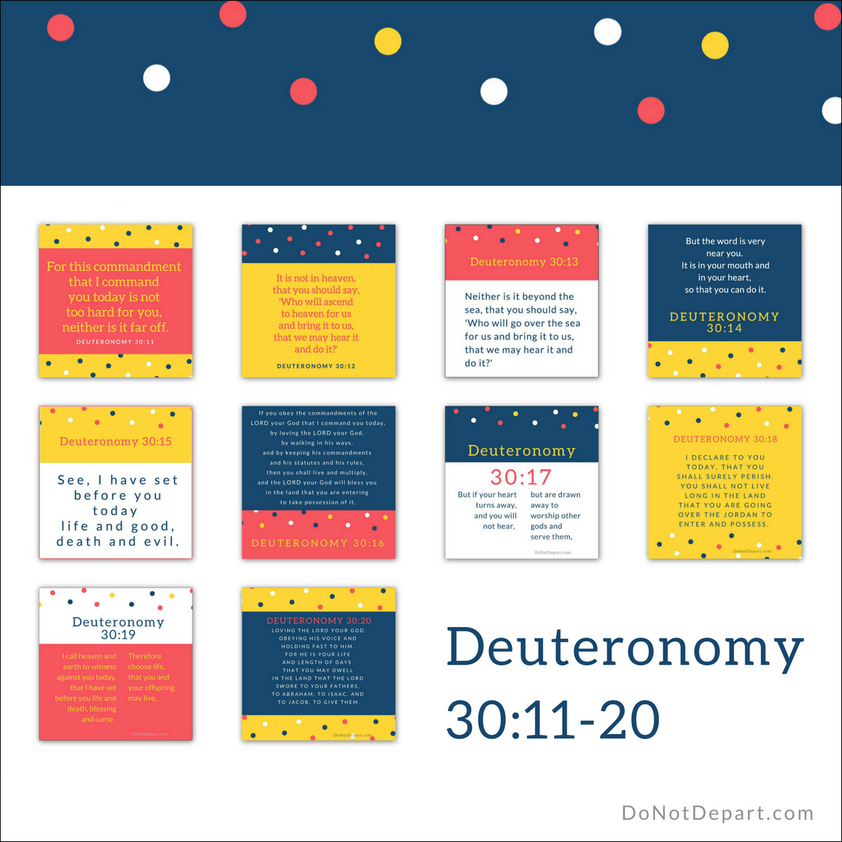 Deuteronomy 30_11-20 sq