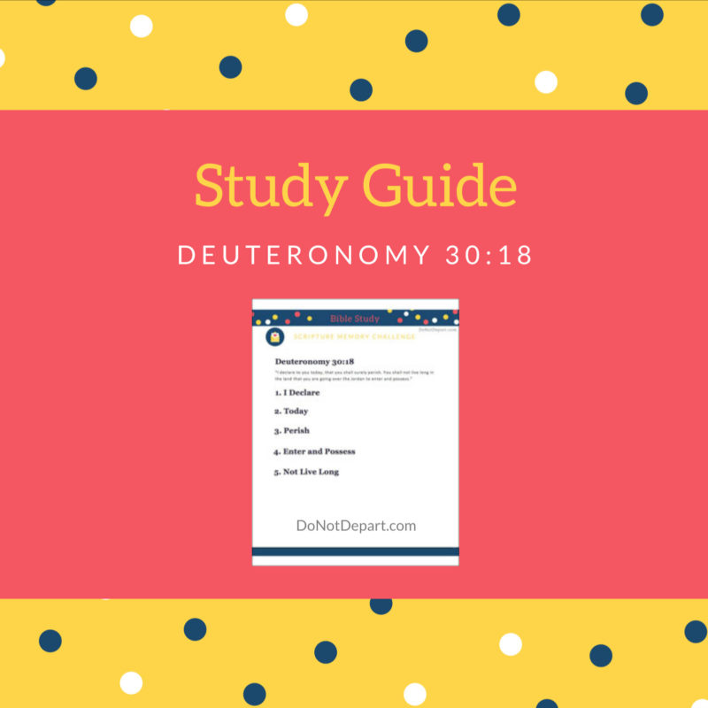 I Declare – Study Guide for Deuteronomy 30:18