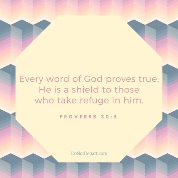 The Simple Beauty of Wisdom - #31DaysInProverbs - We wrap up our series with Proverbs 30 and 31