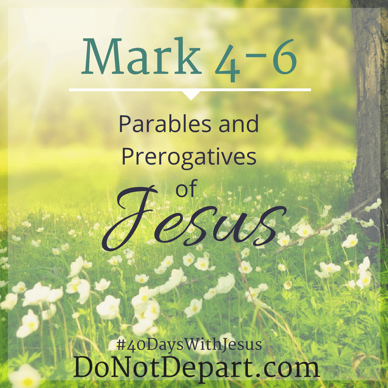 Parables and Prerogatives of Christ – Mark 4-6