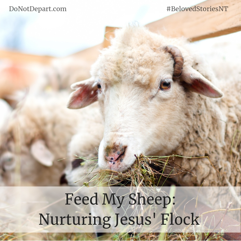Feed My Sheep: Nurturing Jesus' Flock