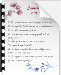 Lamentations 3 Package NKJV