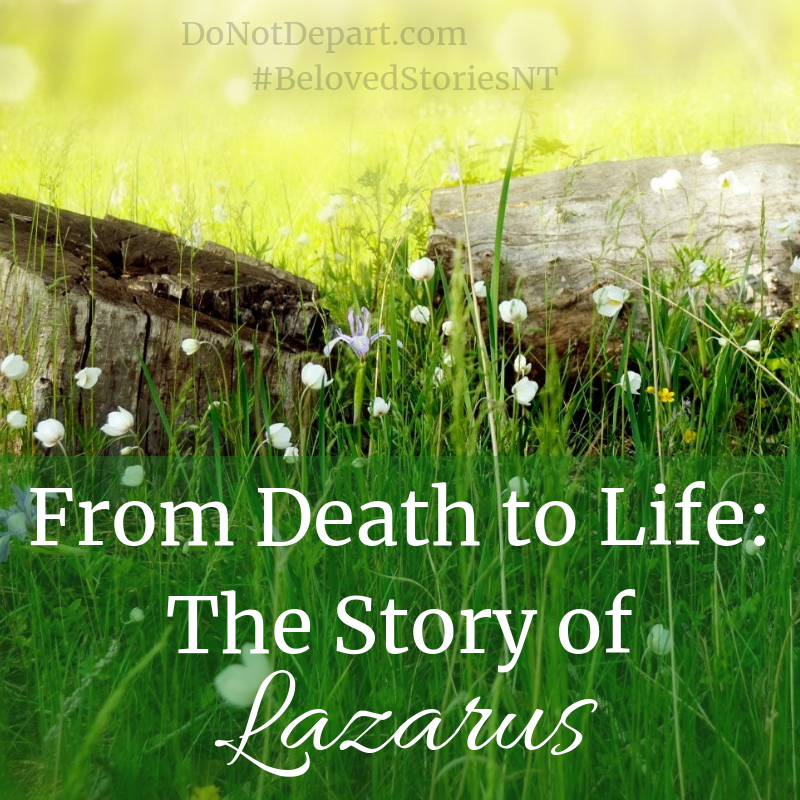 From Death to Life: The Story of Lazarus. Read more at DoNotDepart.com #BelovedStoriesNT
