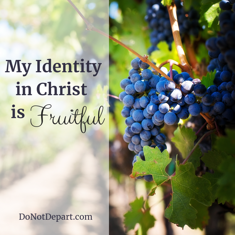 My Identity in Christ is Fruitful