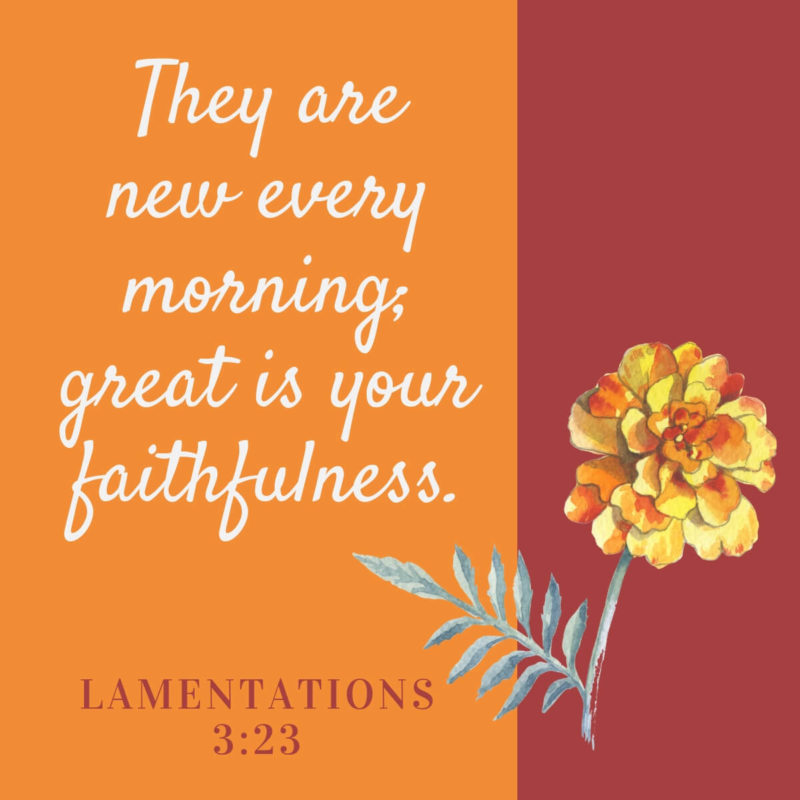 Remember to Use Yours Today – Lamentations 3:23 {Scripture Memory Challenge}