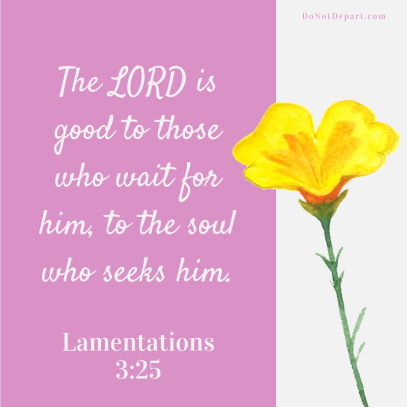 If You Wait, If You Seek – Lamentations 3:25 {Scripture Memory Challenge}