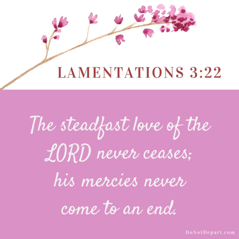 No End in Sight – Lamentations 3:22 {Scripture Memory Challenge}