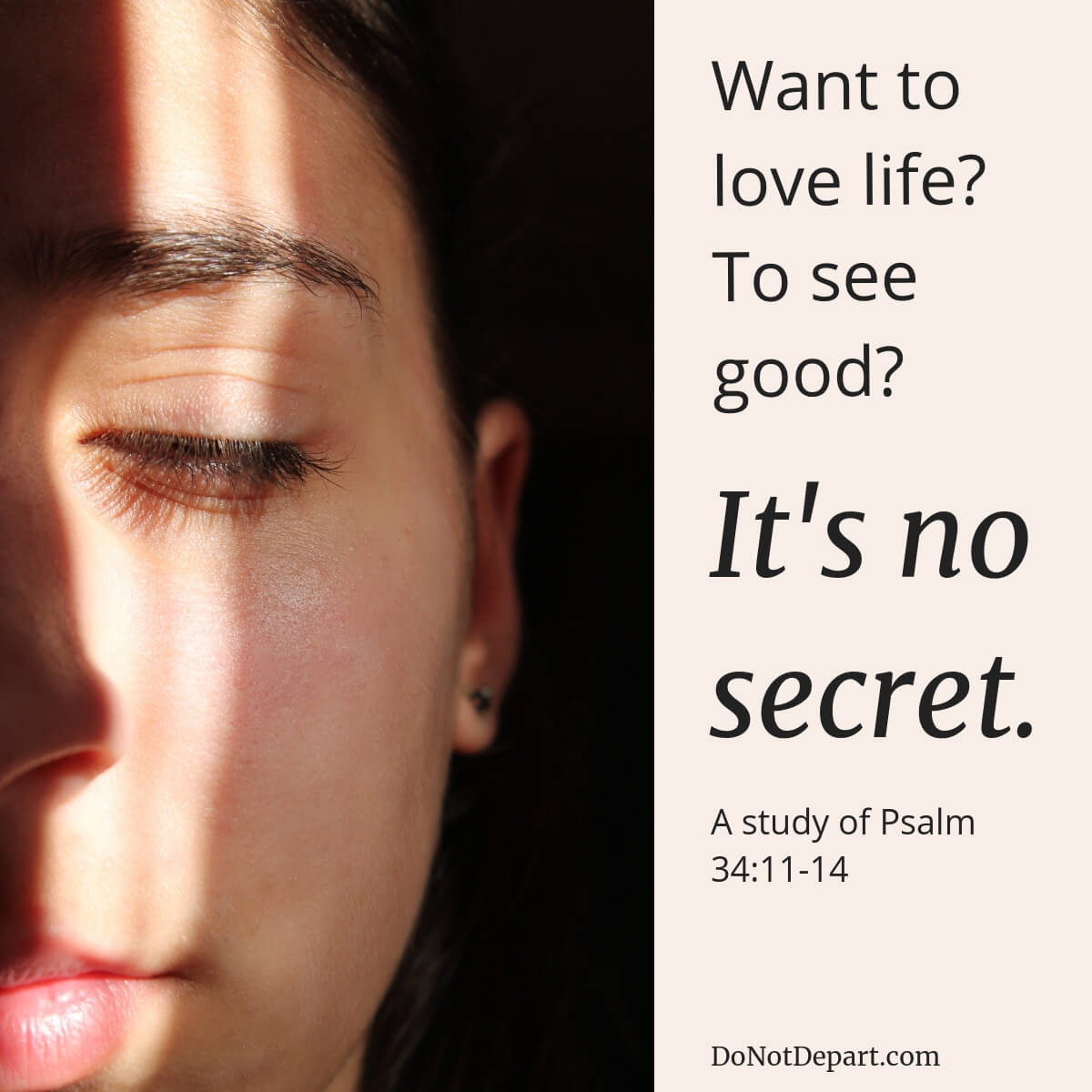 Love Life - No Secret