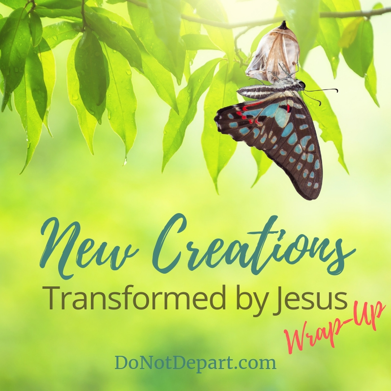 New Creations {Wrap-Up}