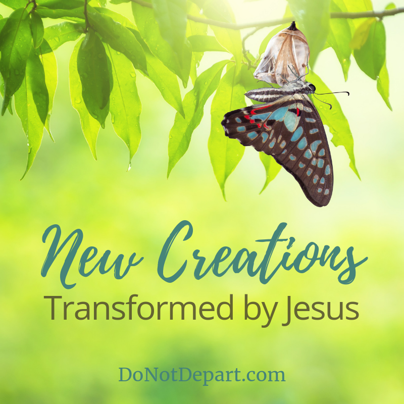 New Creations – Beginning the New Year With True Hope